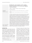 Identification and localization of the multiple bacterial