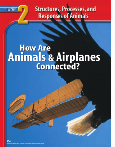 Chapter 6: Introduction to Animals