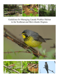 Guidelines for Managing Canada Warbler Habitat in the Northeast