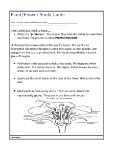 Plant/Flower Study Guide