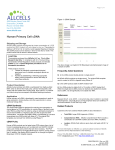 Human Primary Cell cDNA