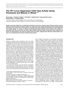 The Ph1 Locus Suppresses Cdk2-Type Activity during Premeiosis