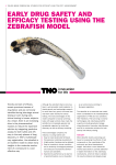 Early drug safety and efficacy testing using the zebrafish model
