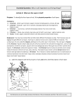 Essential Question: Why is soil important to all living things?