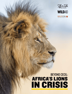 Beyond Cecil - Let Lions Live