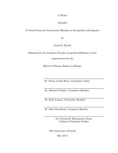 View - OhioLINK Electronic Theses and Dissertations Center