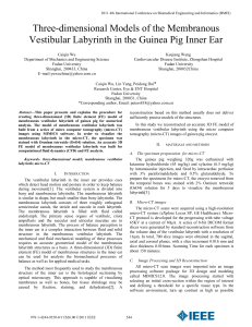 Three-dimensional Models of the Membranous Vestibular Labyrinth