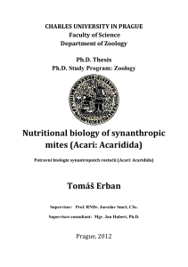 Ph.D. Thesis_Erban_Tomas