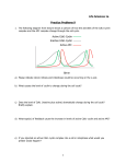 Life Sciences 1a Practice Problems 9 Active Cdk1