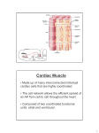 Cardiovascular Lecture-2