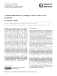 Latitudinal distribution of earthquakes in the Andes and its peculiarity