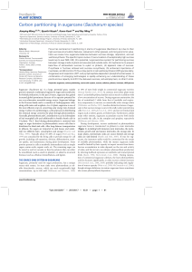 Carbon partitioning in sugarcane (Saccharum species)