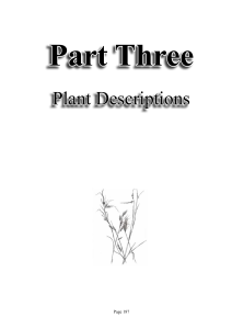 Plant descriptions and Appendices - PDF 5.5MB