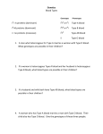 Genetics Blood Types I = A proteins (dominant) I I or I i Type A blood