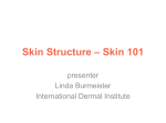 Skin Structure – Skin 101