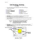 Cell Analogy Activity