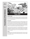 Coral Reef Fact Sheet - Bahamas National Trust