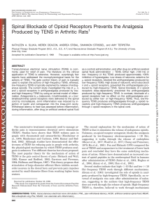 Spinal Blockade of Opioid Receptors Prevents the Analgesia