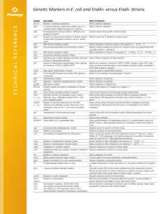 Genetic Markers of E. coli