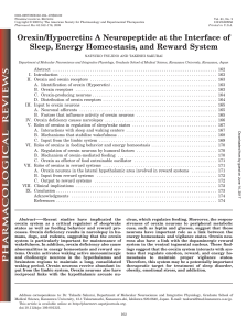 Orexin/Hypocretin: A Neuropeptide at the Interface of Sleep, Energy
