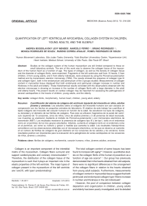 quantification of left ventricular myocardial collagen system in