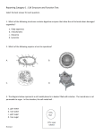 Reporting Category 1 : Cell Structure and Function Test