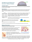 Intermolecular Forces Round Robin