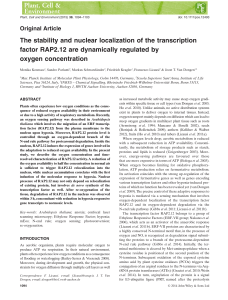 The stability and nuclear localization of the transcription factor RAP2