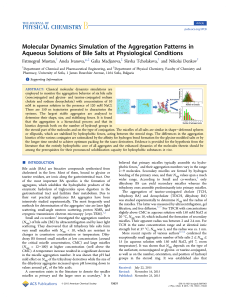 Molecular Dynamics Simulation of the