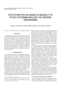 polychaetes as annelid models to study ecoimmunology of marine