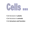 •Cell structure in plants •Cell structure in animals •Cell structure and