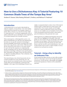 How to Use a Dichotomous Key: A Tutorial Featuring 10