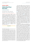 Catheter-Based Renal Denervation