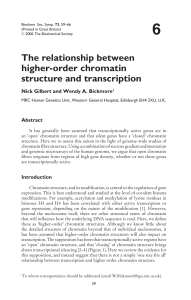The relationship between higher‑order chromatin structure and