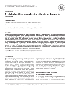 A cellular backline: specialization of host membranes for defence