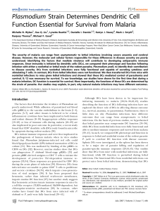 Plasmodium Strain Determines Dendritic Cell