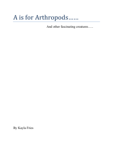 A is for Arthropods……