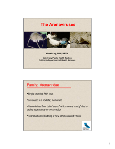 The Arenaviruses Family: Arenaviridae