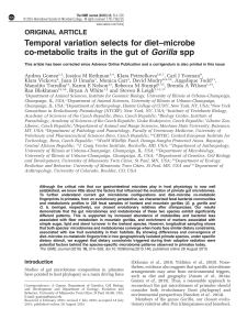 microbe co-metabolic traits in the gut of Gorilla spp