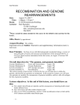 A. Homologous recombination