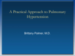 A Practical Approach to Pulmonary Hypertension