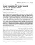 Lactase persistence DNA variant enhances