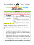 Curriculum Assessment Remediation Enrichment