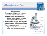 6.2 Extending Human Vision Microscopes • A compound light