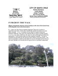 CITY OF SANTA CRUZ EVERGREEN TREE WALK