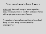Southern Hemisphere forests