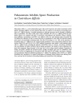 Fidaxomicin Inhibits Spore Production in Clostridium difficile