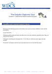 The Dolphin Diploma Quiz - Whale and Dolphin Conservation