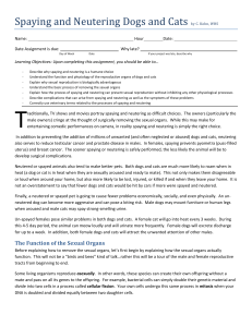Spaying and Neutering Dogs and Cats by C. Kohn, WHS