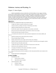 Thibodeau: Anatomy and Physiology, 5/e Chapter 15: Sense Organs